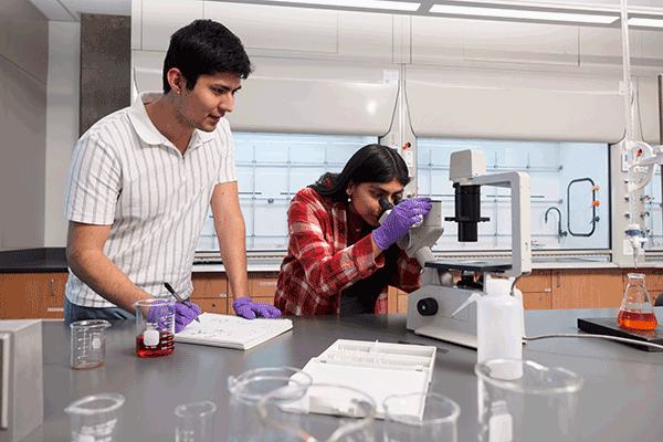 Two students work on a research project in the School of Science