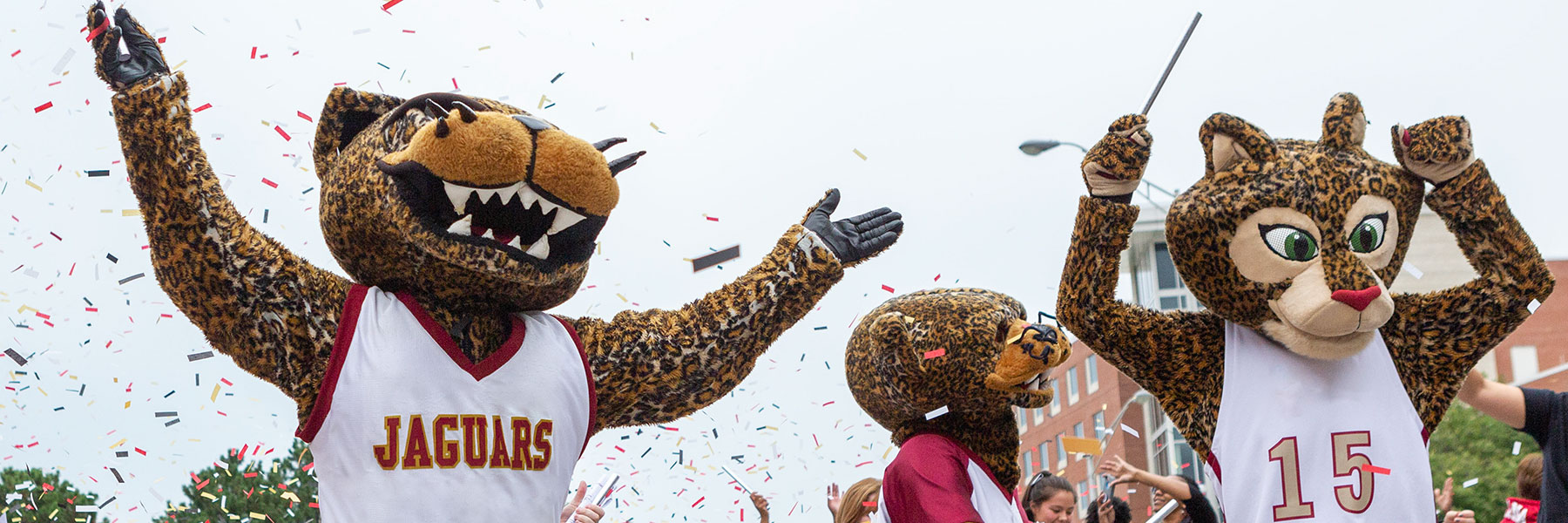 IU Indianapolis Jaguar mascots Jawz, Jazzy, and Jinx, walk down a parade route in Indianapolis. Jawz and Jazzy are in the foreground and are making celebratory motions with their arms. Jinx has slowed down to interact with a person in the crowd. A multitude of confetti is falling from the sky.