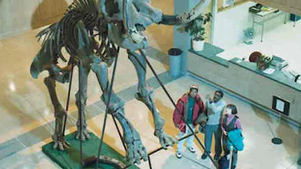 Three students look up a dinosaur skeleton on display for 1994’s Dinofest in University Library.