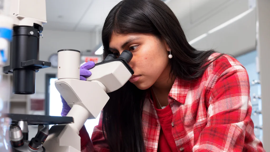 A student wearing a red plaid shirt and purple medical glove looks into a microscope.