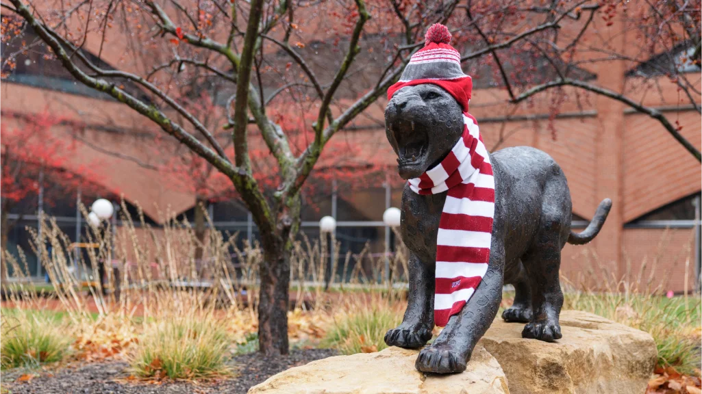 A bronze jaguar statue on the IUI campus is decorated with red and white winter hat and scarf.