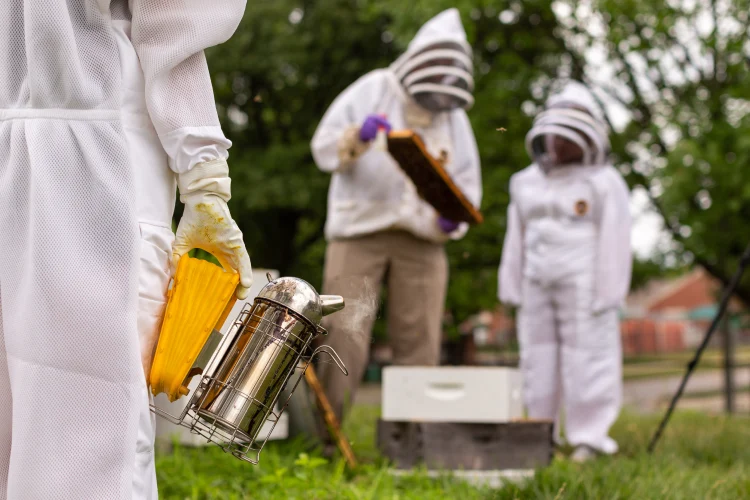 A hand is seen holding a smoker instrument while an instructor and student in protective suits and face netting examine a bee hive.