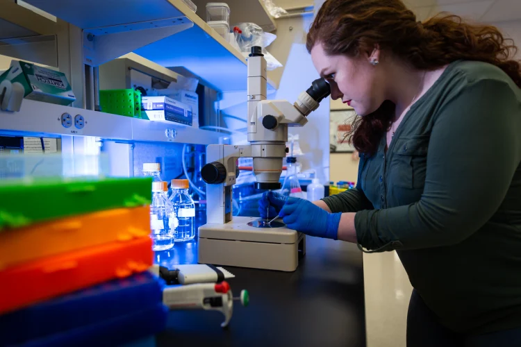 A woman leans over looking into a microscope. Lab equipment including colorful containers and light glass bottles are on shelves behind and around the microscope.