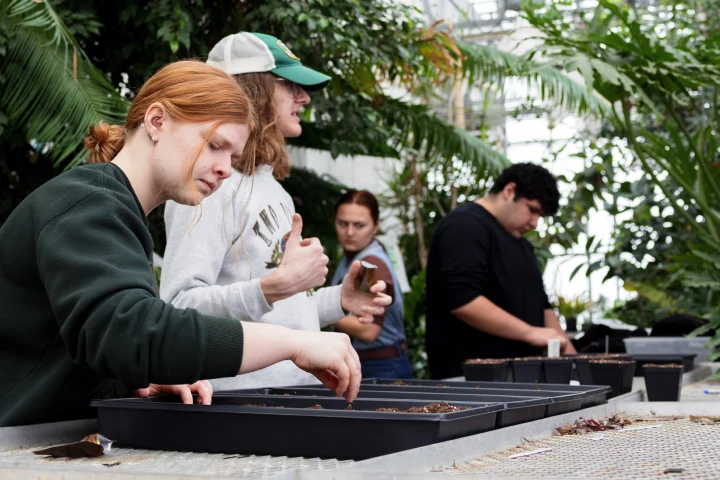 Four students work in a rooftop greenhouse filled with plants; three of them lean over tables working with seeks and potting soil in trays.