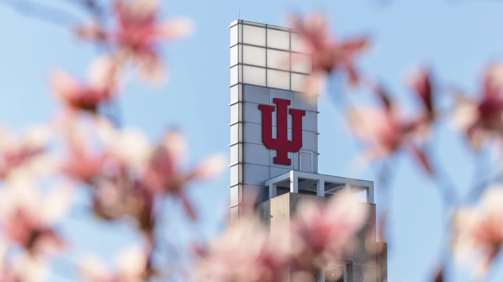 The Campus Center bell tower with IU trident is seen through the out of focus pink flowering buds of a tree.