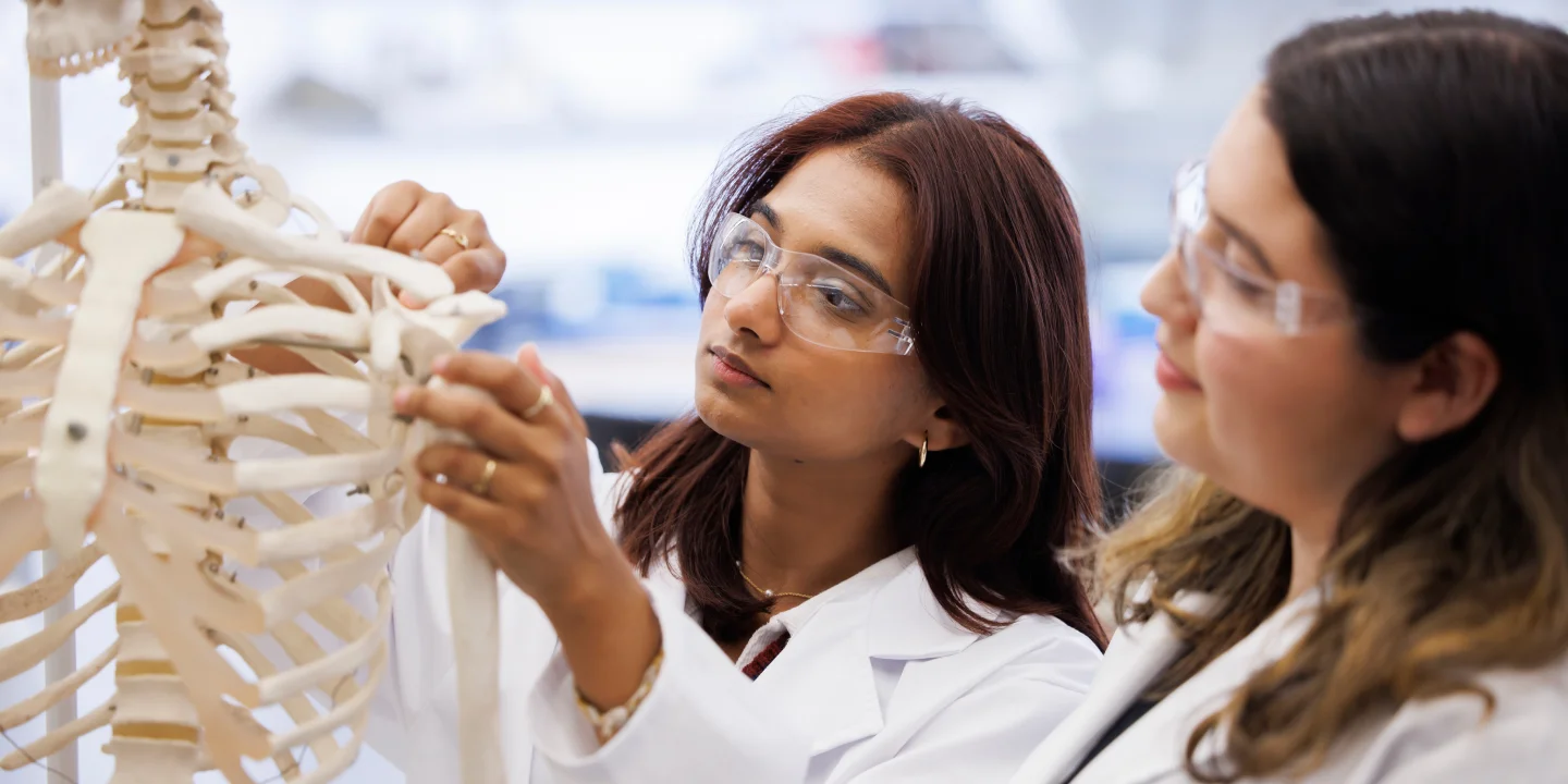 Two women in white lab coats and safety glasses touch the shoulder bones of a human skeleton model in a bright, sunny, white classroom.